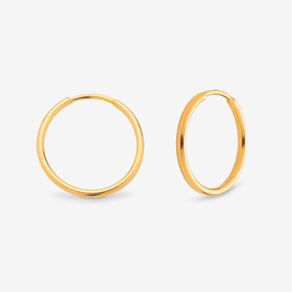 گوشواره حلقه‌ای طلا 18 عیار زنانه طلای صداقت مدل HS1-N-2.5